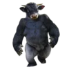 Strange Animals 8