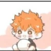 Baby shoyo 19