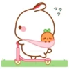 Bunny 20