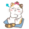Money Cat 11