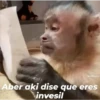 Michis 2 13