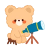 Brownie Bear 21