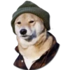 Stupud dog 10