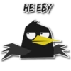BlackbirdMerl 27