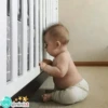 @ninist