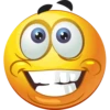 Struppi´s Smiley Pack 23