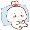 Bunny 26
