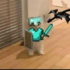 F