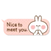 Spoiled Rabbit and Smile Person 26