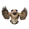 Strange Animals 15