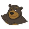 bears 13