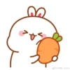 Bunny 29