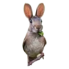 Strange Animals 18