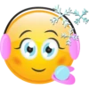 Struppi´s Smiley Pack 28