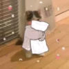 Cat 15