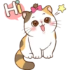 Hi