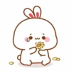Bunny 30