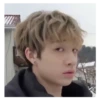 Stray Meme Kids 6