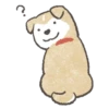 Shiba-Puppy 5