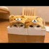 Meow pack 7