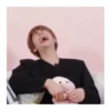 Stray Meme Kids 8