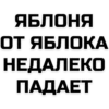 phrases 6