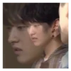 Stray Meme Kids 10