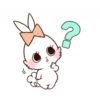 Bunny 10