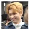 Stray Meme Kids 13