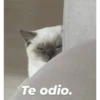 Michis 1 11