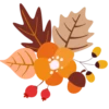 Lovely autumn 16