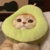 cats cats cats 15