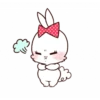 Bunny 16