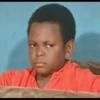 African reactions 11