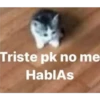 Michis 1 14