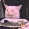 meow? are ywou owkay? 13
