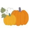 Lovely autumn 19