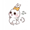 Bunny 19