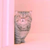 meow? are ywou owkay? 15