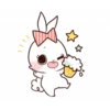 Bunny 20