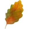 Lovely autumn 24