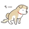 Shiba-Puppy 19