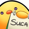 Chick scrive 22