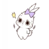 Bunny 22