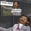 BP memes 19