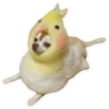 Awkward Animals 8
