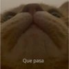 Michis 1 18