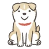 Shiba-Puppy 22