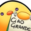 Chick scrive 24