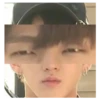 Stray Meme Kids 22